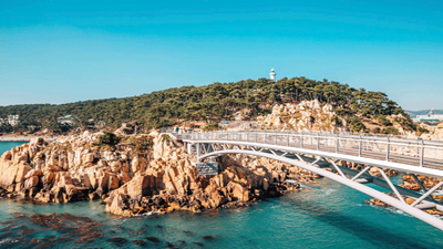 HÀ NỘI - BUSAN - ULSAN - GYEONGJU (BAY VIETNAM AIRLINES) - Image - 7731